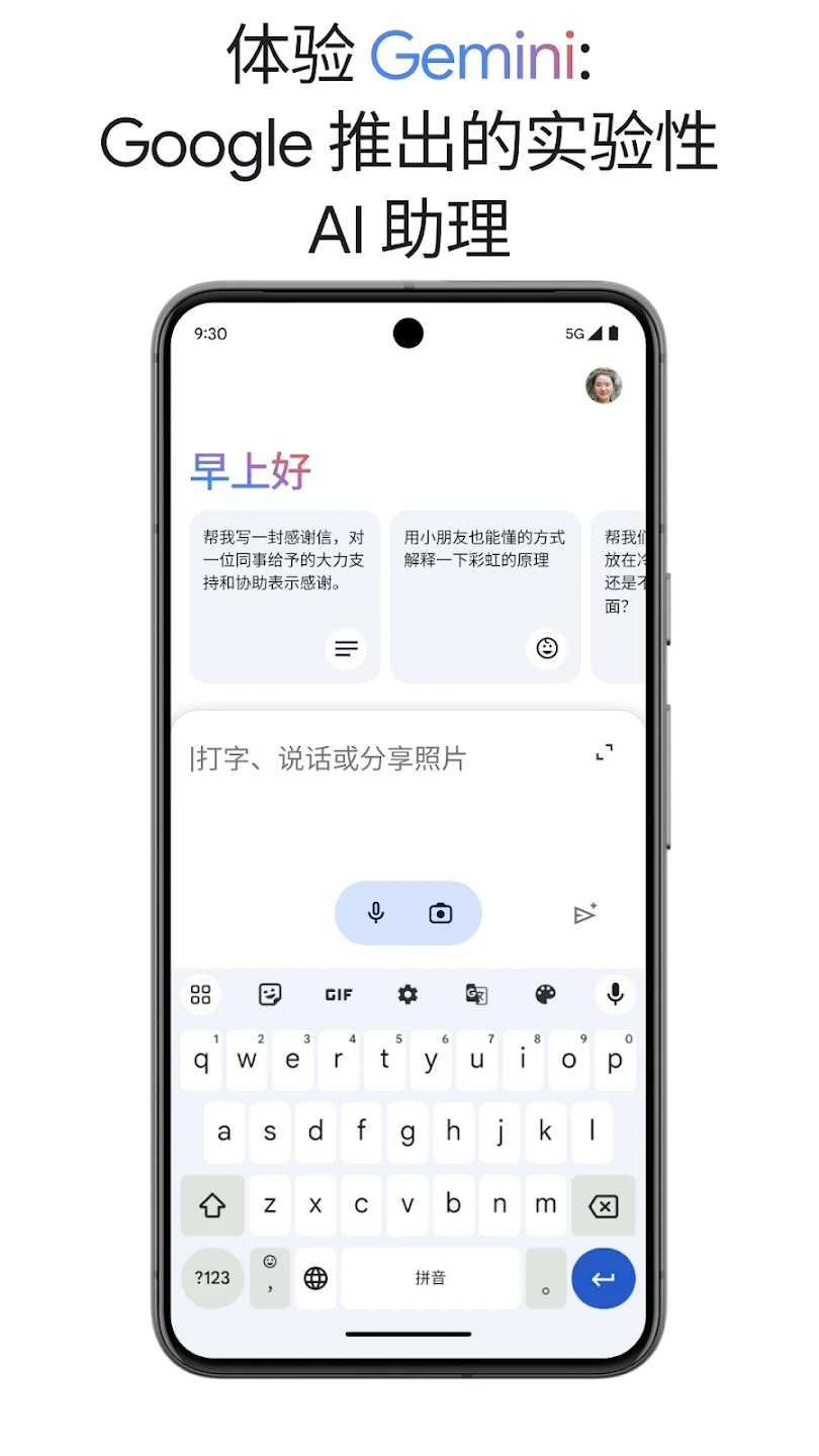 Gemini 对话界面